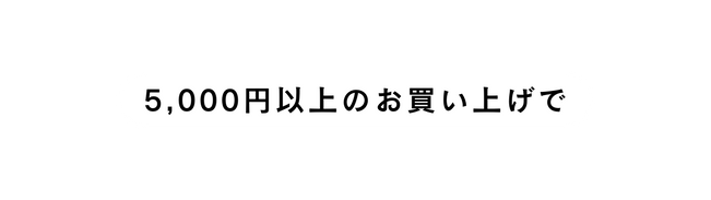5 000円以上のお買い上げで